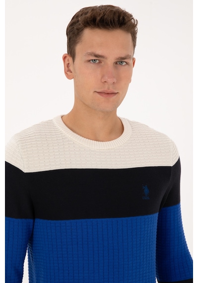 U.S. Polo Assn. Erkek Regular Fit Bisiklet Yaka Lacivert Sweatshirt 50307828-VR033