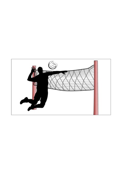 Voleybol Afişi