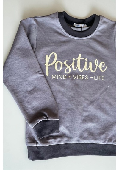 Minik Motion 3'lü Set Çocuk Baskılı 2 İplik Penye Sweatshirt Lacivert - Kırmızı - Füme
