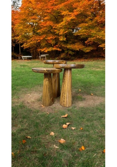 Simillo Wood Wooden Ahşap 3 Lü Set Fitilli Mantar Yan Sehpa Modern Koyu Ceviz Ren Kod:5498049654547 Koyu Ceviz