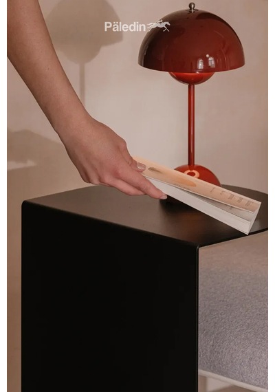 Paledin Design Corvus C Form Çelik Yan Sehpa Modern Koltuk Yanı Sehpası Turuncu 37x30x60 Cm Siyah