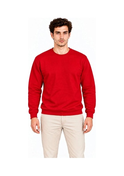 Erkek 2'li Bisiklet Yaka İçi Şardonlu 2 İplik Düz Uzun Kollu Regular Fit Sweatshirt - Mavi & Kırmızı Çok Renkli