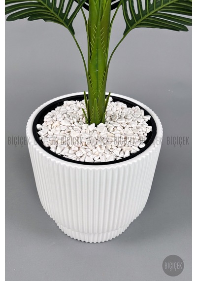 Yapay Areka Ağacı 160-180 Cm H