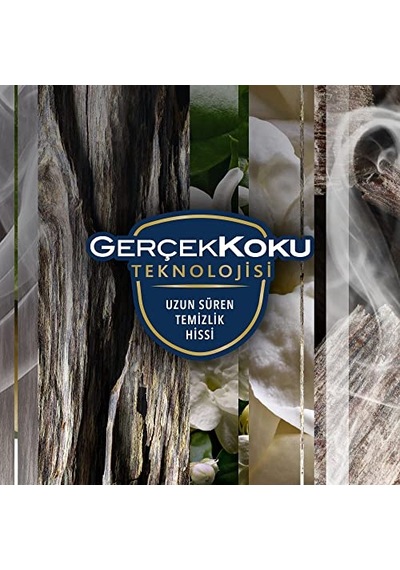Aerosol Oryantal Oud Oda Kokusu 300 Ml 1 X 300 Ml