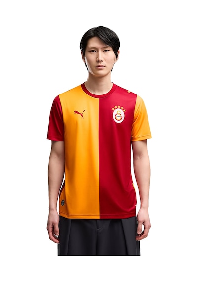 Puma Galatasaray 26/27 Erkek İç Saha Parçalı Forma 78499101