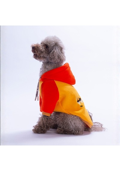 Turuncu Vermont Autumn Köpek Hoodie Köpek Sweat Köpek Kıyafeti Kedi Kıyafeti