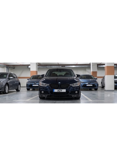 Bmw 3 Serisi F30 Diamond Grill Elmas Ön Panjur Takımı