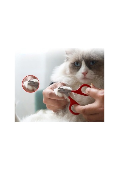 Kedi Tırnak Makası Çelik Ergonomik Tutuş Evcil Hayvan Köpek Tırnak Makası Garantili
