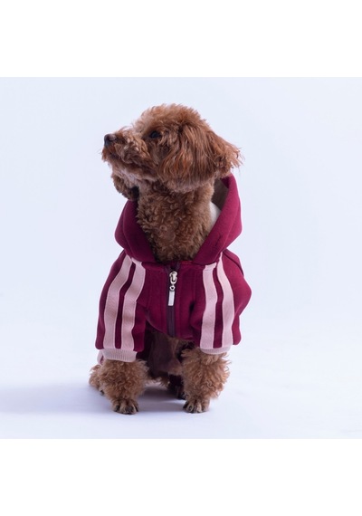 Bordo Denver Track Tulum Köpek Tulumu Köpek Kıyafeti Köpek Eşofmanı Kedi Kıyafeti