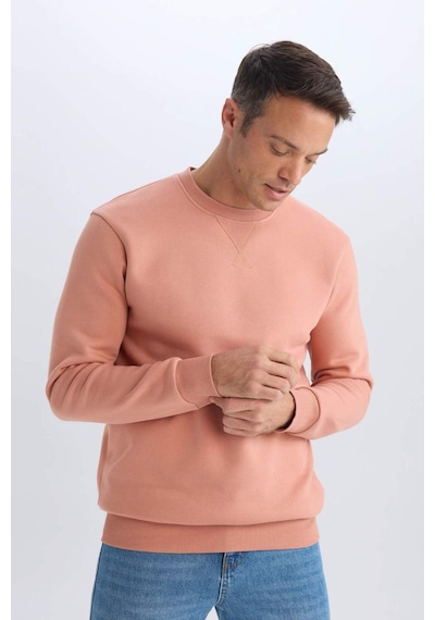DeFacto Regular Fit Bisiklet Yaka Kalın Basic Düz Sweatshirt T3777AZ25SPPN602