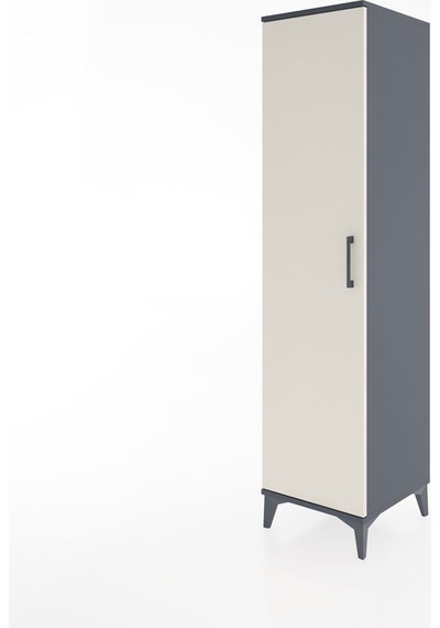 Hyperion Dolap 2 Raflı Tek Kapaklı Tek Askılı 44x44x182 Antra... Antrasit