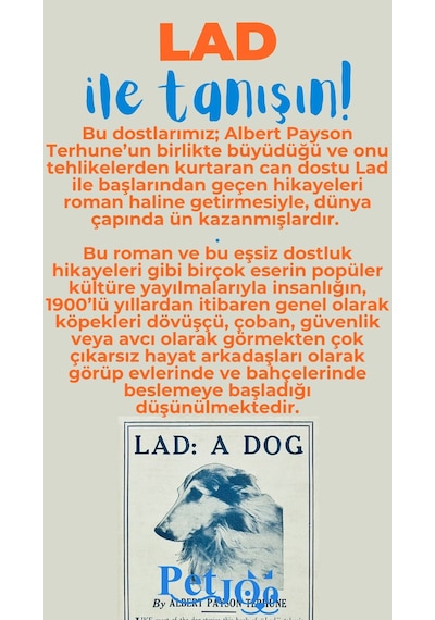 Petjoo 23.Lad Mavi-Turuncu Qr'lı Köpek Künyesi