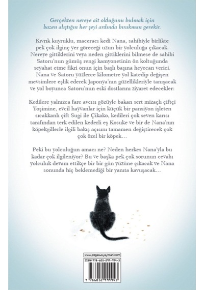 Gezgin Kedinin Günlüğü