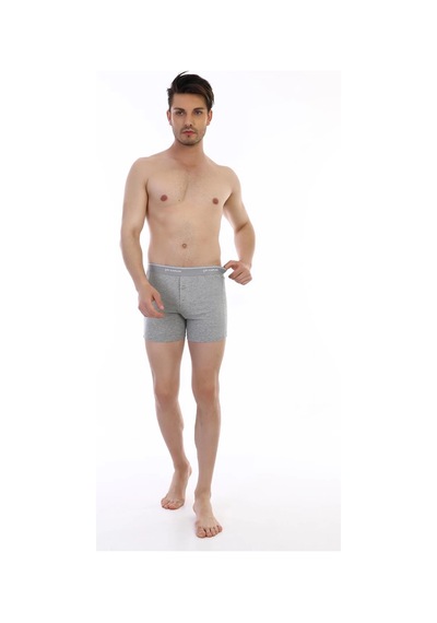 Moda Dua Çift Kaplan 880 Elastanlı Erkek Boxer gri