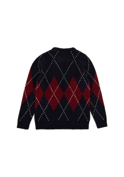U.S. Polo Assn. Erkek Çocuk Lacivert Bisiklet Yaka Kazak 50295513-VR033