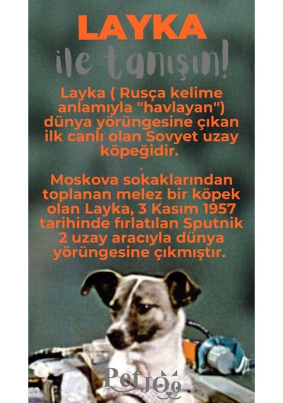 Petjoo 22.Layka Gri-Turuncu Qr'lı Köpek Künyesi