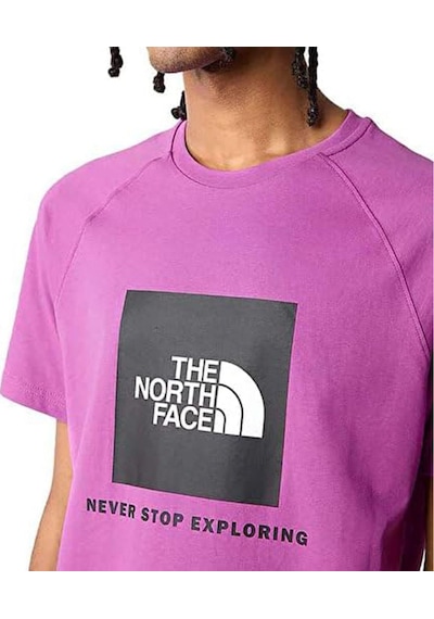 The North Face M Raglan Redbox - Eu Erkek Tişört Nf0a3bqolv11 Mor