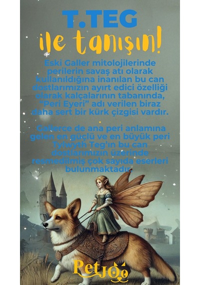 Petjoo 15.T.Teg Sarı-Mavi Qr'lı Köpek Künyesi