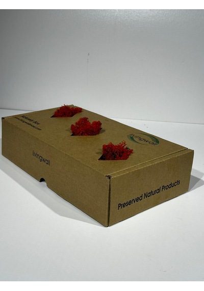 Reindermoss Şoklanmış Norveç Yosunu Terarium Yosunu Kırmızı 500 Gr.
