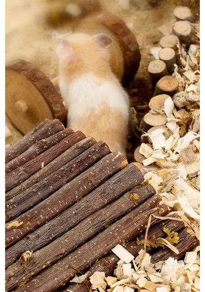 Ahşap Çubuklu Hamsterlar Için Ahşap Eğlence Köprüsü
