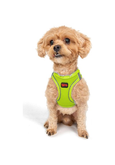 Tailpetz Air-mesh Küçük Ve Orta Irk Kedi Köpek Göğüs Tasması - Yumuşak, Nefes Alabilir, Dayanıklı Neon-sarı, 2xs Sku: Zeusb0829dm8rv Açık Bej - Bej Tailpetz Air-mesh Küçük Ve Orta Irk Kedi Köpek Göğüs Tasması - Yumuşak, Nefes Alabilir, Dayanıklı Neon-sarı, 2xs Sku: Zeusb0829dm8rv Açık Bej - Bej