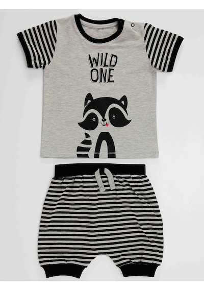 Denokids Rakun Erkek Bebek T-shirt Kısa Pantolon Takım Gri