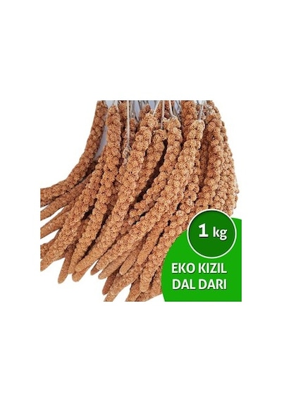 Eko Organik Kızıl Dal Darı Muhabbet Kuşu Yemi 1 KG