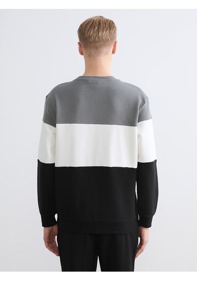 Lcw Vision Antrasit Bisiklet Yaka Renk Bloklu Erkek Sweatshirt