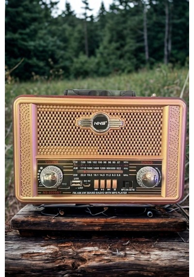 Biishe Retro, Nostaljik, Ahşap Tasarım Bluetooth Hoparlörlü, Şarjlı, Taşınabilir Otantik Tasarımlı