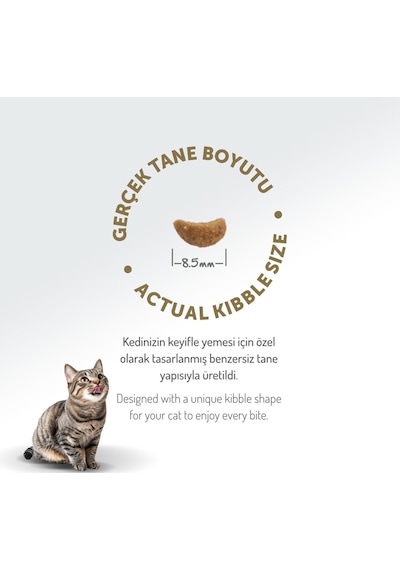 Az Tahıllı 12 Kg Yetişkin Kuzu Etli Hypoallergenic Kedi Maması