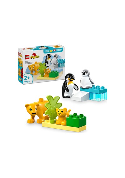 Penguen Ve Aslanlar 10442 2 Adet