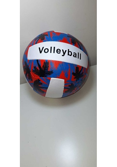 Forssi Sport Voleybol Topu Çok Renkli