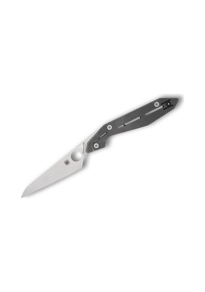 Spyderco Nand Titanium M398 Plainedge Kamp Çakı Gri