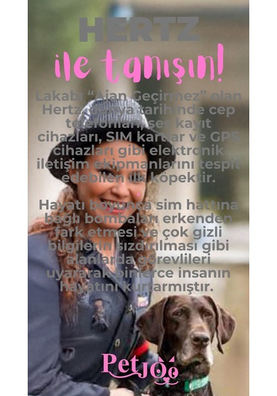 Petjoo 26.Hertz Pembe-Gri Qr'lı Köpek Künyesi