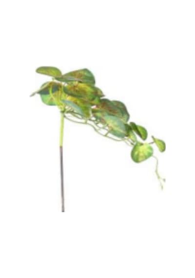 Yapay Bitki Salon Sarmaşığı Kızıl-yeşil 35 Cm. Çok Renkli