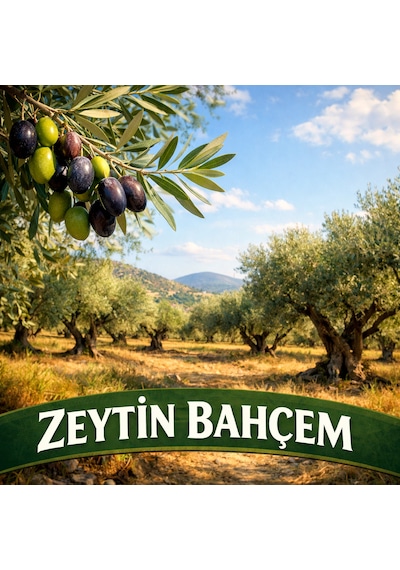 Gold Ayvacık Soğuk Sıkım Sızma 4 5l Zeytinyağı