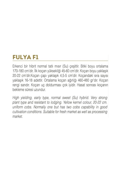 AGRodal Tarım Fulya F1 Hibrit Tatlı Mısır Tohumu 10 GR Bardakta Mısır Tohumu