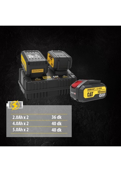 Cat Dxc152 18volt Li-ion One For All Profesyonel İkili Hızlı Akü Şarj Cihazı
