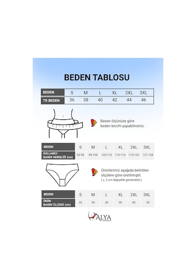 Alya Underwear Kadın Pamuklu Hipster - Slip Külot 5 Farklı Renk 1 Pakette Multicolor P15