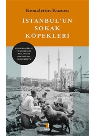 İstanbul'un Sokak Köpekleri - Kemalettin Kuzucu - Kapı Yayınları