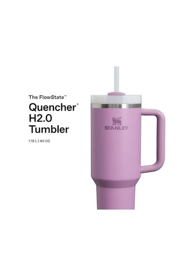 Quencher Pipetli Termos Bardak, 1.18 L Çok Renkli