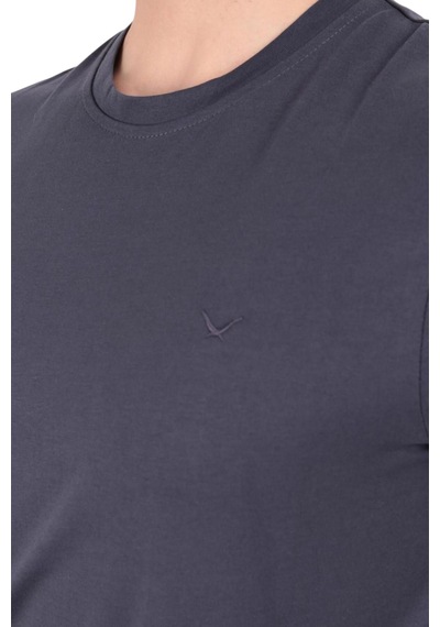 Cazador Erkek Slim Fit Bisiklet Yaka Pamuklu Düz Tişört 4623 Antrasit