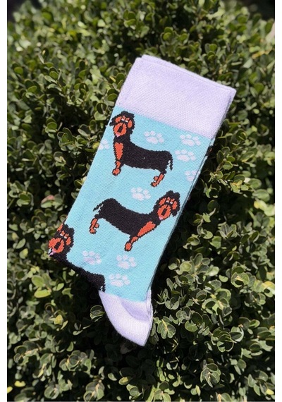 Lousocks Unisex Sosis Köpek Desenli Turkuaz Soket Çorap