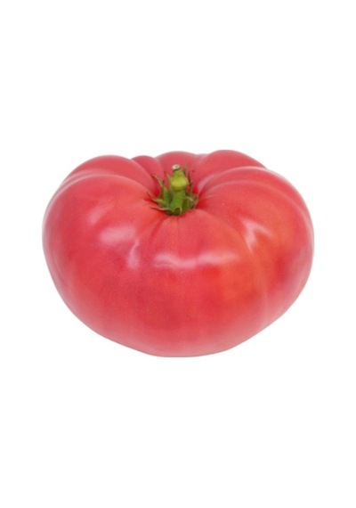 Nadir İri Pembe Domates Tohumu Ekim Seti 10 Tohum +Saksı+Toprak