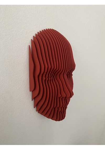 Flatform Echo Parametrik Yüz Duvar Dekoru 3d Katmanlı Modern Duvar Heykeli Diğer