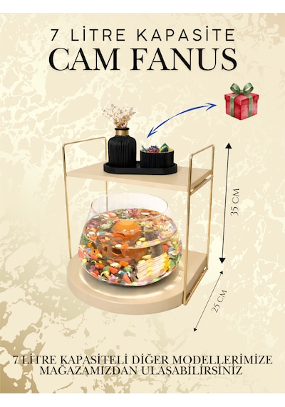 Işıklı Modern Ve Lüks Mekânlar İçin Cam Fanus Beta Balığı Dekoratif Akvaryum