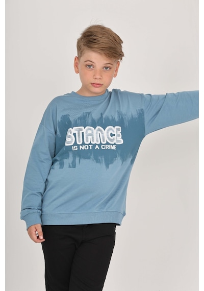 Toontoy Kids Toontoy Erkek Çocuk Stance Baskılı Sweatshirt Mavi