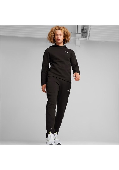 Puma Erkek Evostrıpe Hoodie 67899401 001