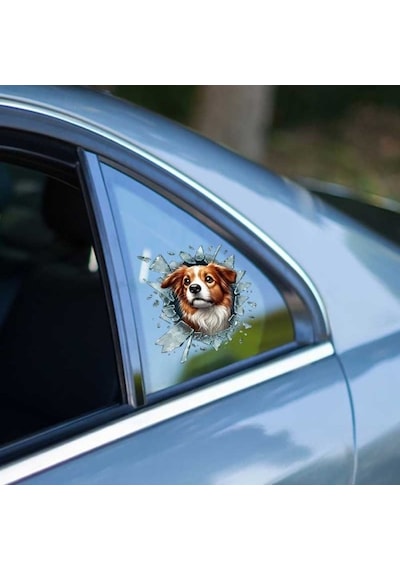 Büro Ev Ofis Arabası İçin 10x10cm Tekli Araç Dışı Australian Shepherd Oto Cam Stickerı