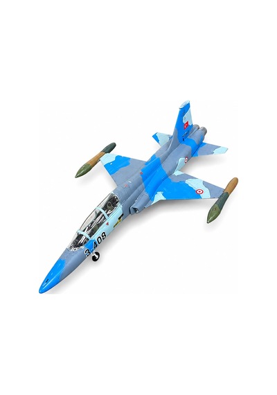Montajlı + Boyalı F-5b Agressor Maket Ucak